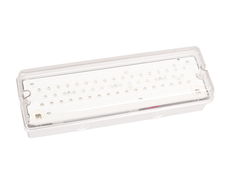 LE502L IP65 50LED VATTOSKLIG ARUTIM LIGHT LIGHT
